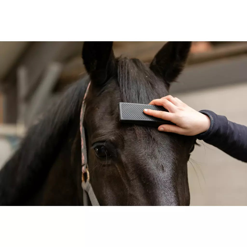 Excellent Horse Grooming Brush Medium roze