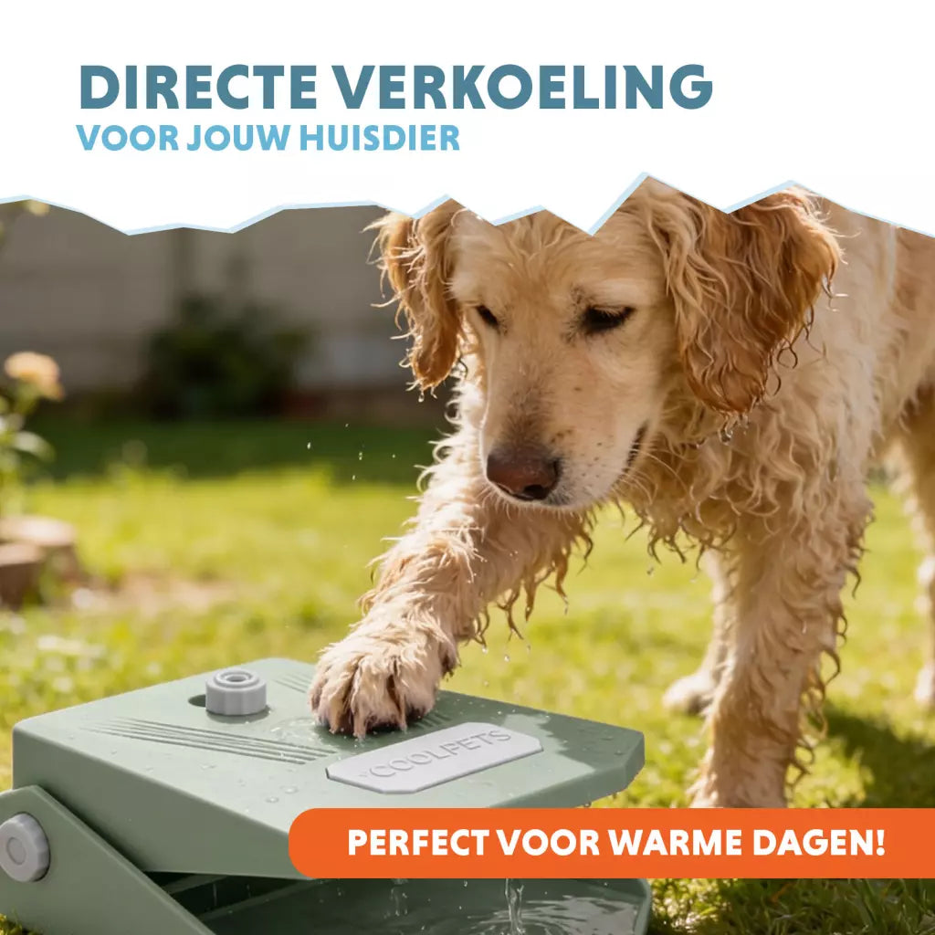 CoolPets Splash Water Fountain