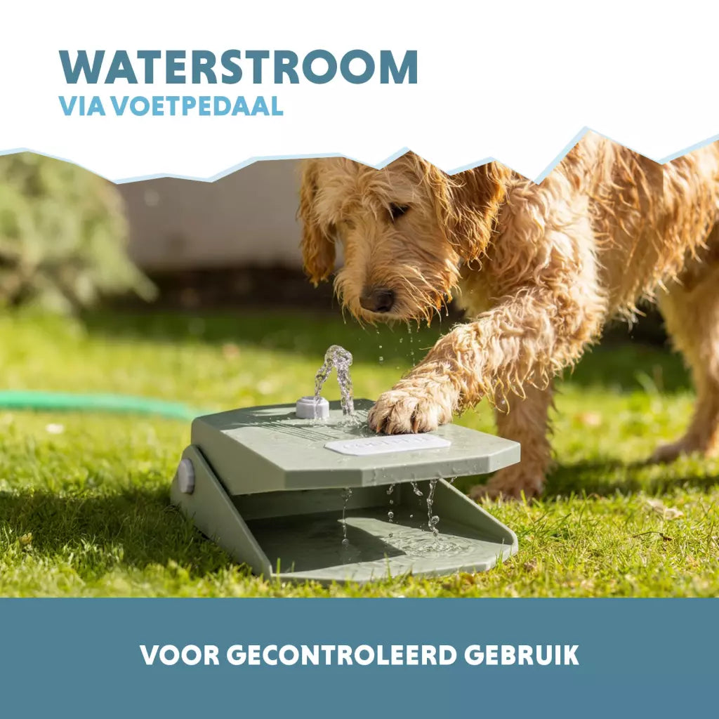 CoolPets Splash Water Fountain