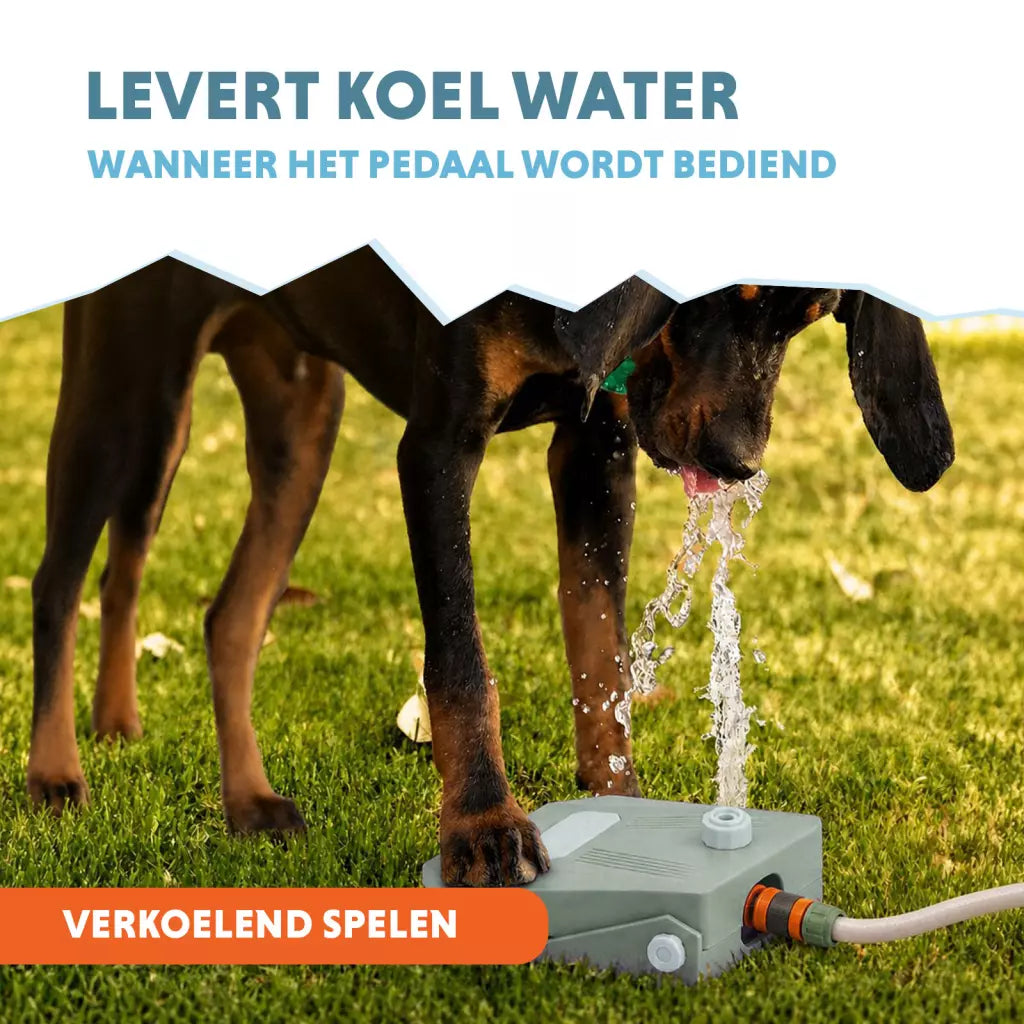 CoolPets Splash Water Fountain