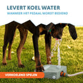 CoolPets Splash Water Fountain