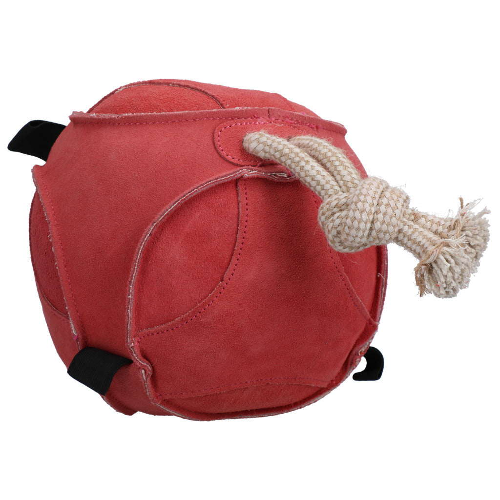 Horse Fun Play Ball Suede Roze