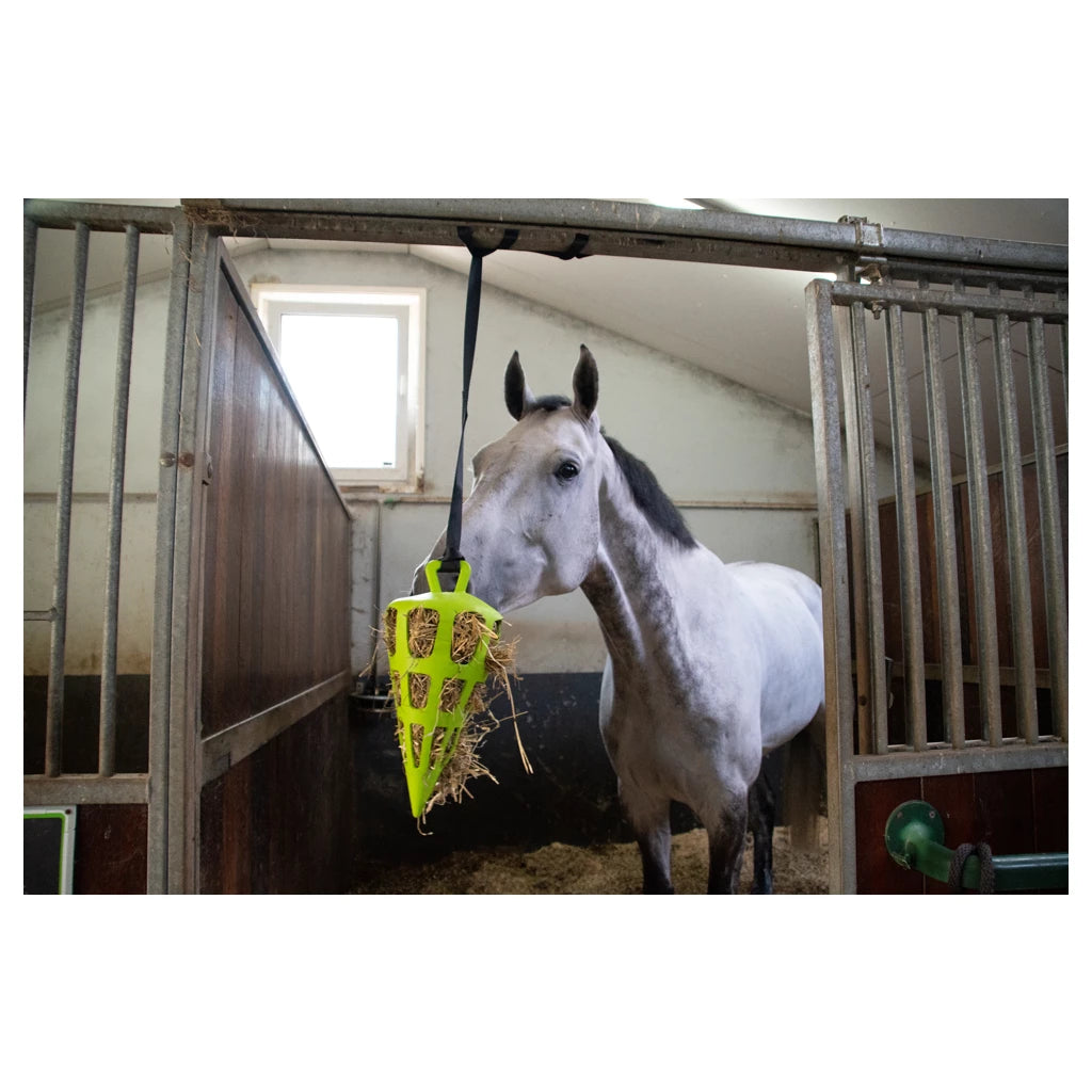 Hay Slowfeeder Fun and Flex 22 cm Groene Wortel