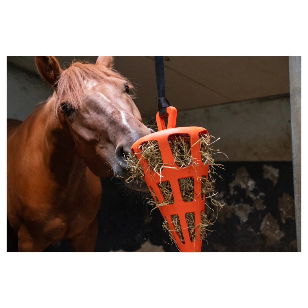 Hay Slowfeeder Fun and Flex 22 cm Oranje Wortel