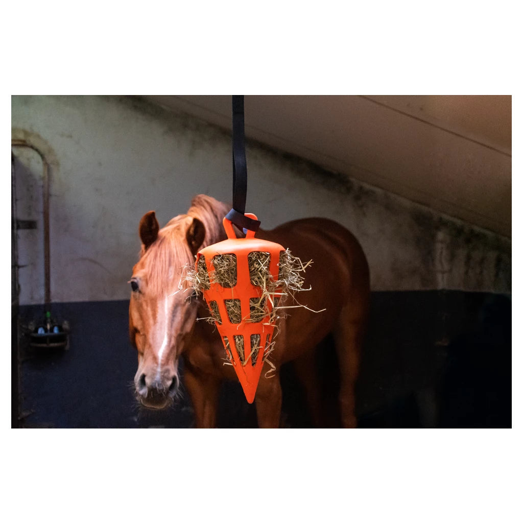 Hay Slowfeeder Fun and Flex 22 cm Oranje Wortel