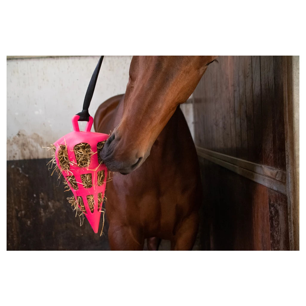 Hay Slowfeeder Fun  and Flex 22 cm Roze Wortel