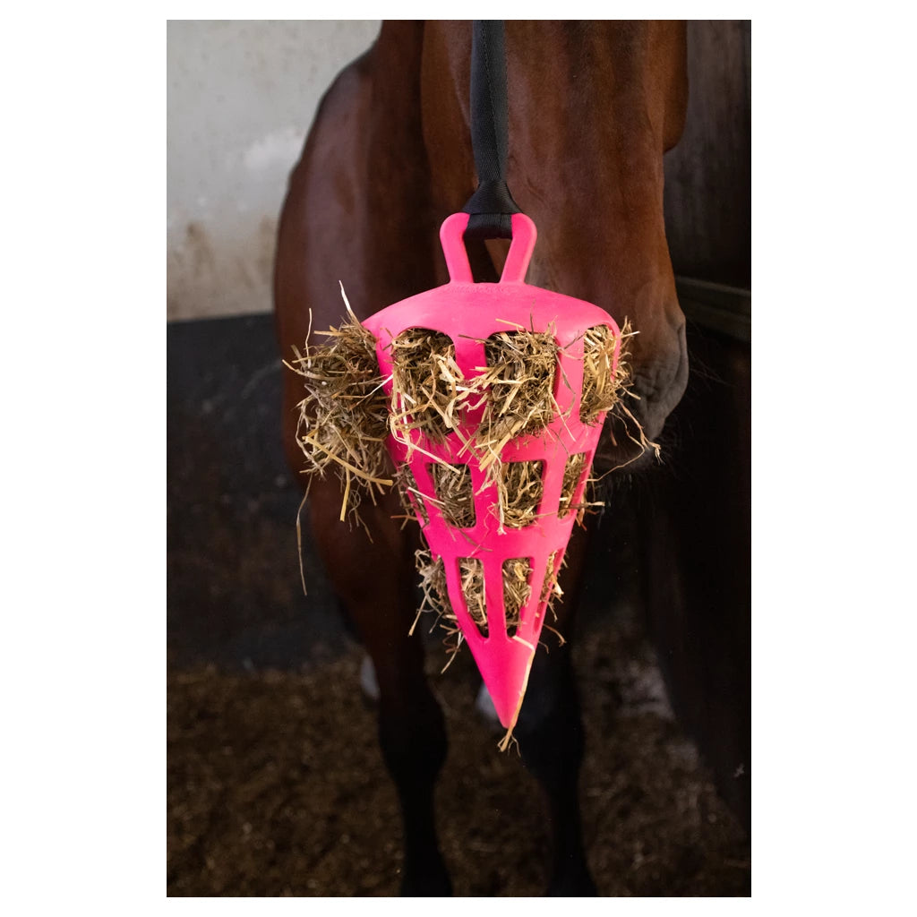 Hay Slowfeeder Fun  and Flex 22 cm Roze Wortel
