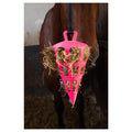 Hay Slowfeeder Fun  and Flex 22 cm Roze Wortel