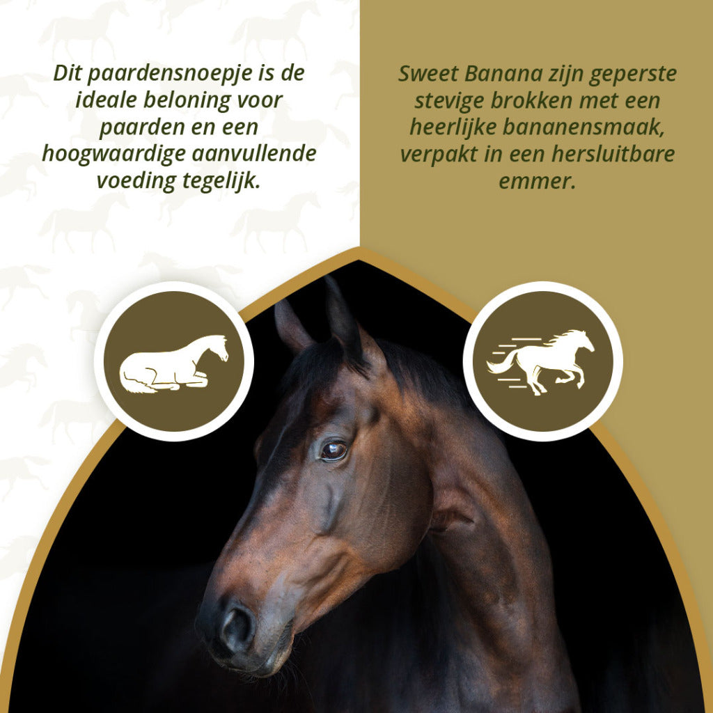 Excellent Horse Sweet Blocks Banana 3kg