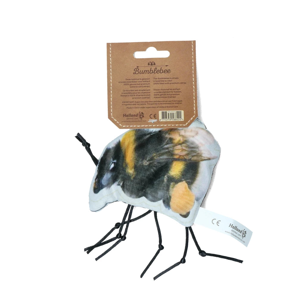 Wild Life Cat Hommel