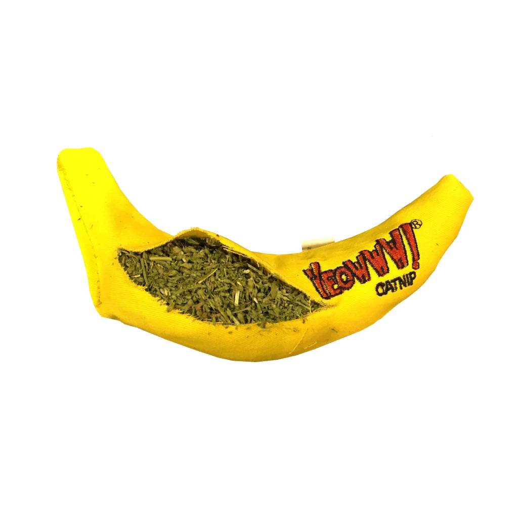 Yeowww Chicata Banana