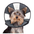 Zenpet Procone S