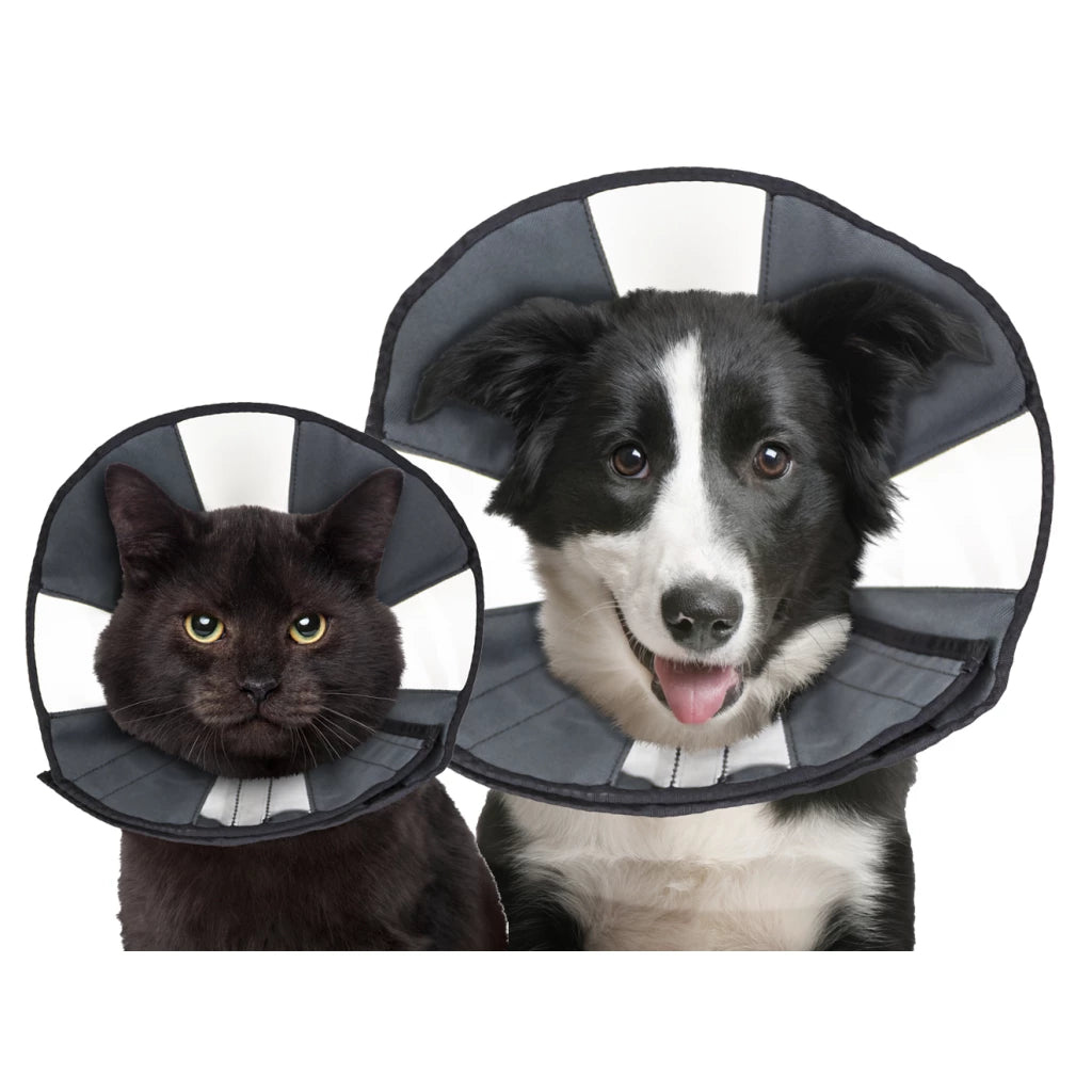 Zenpet Procone XL