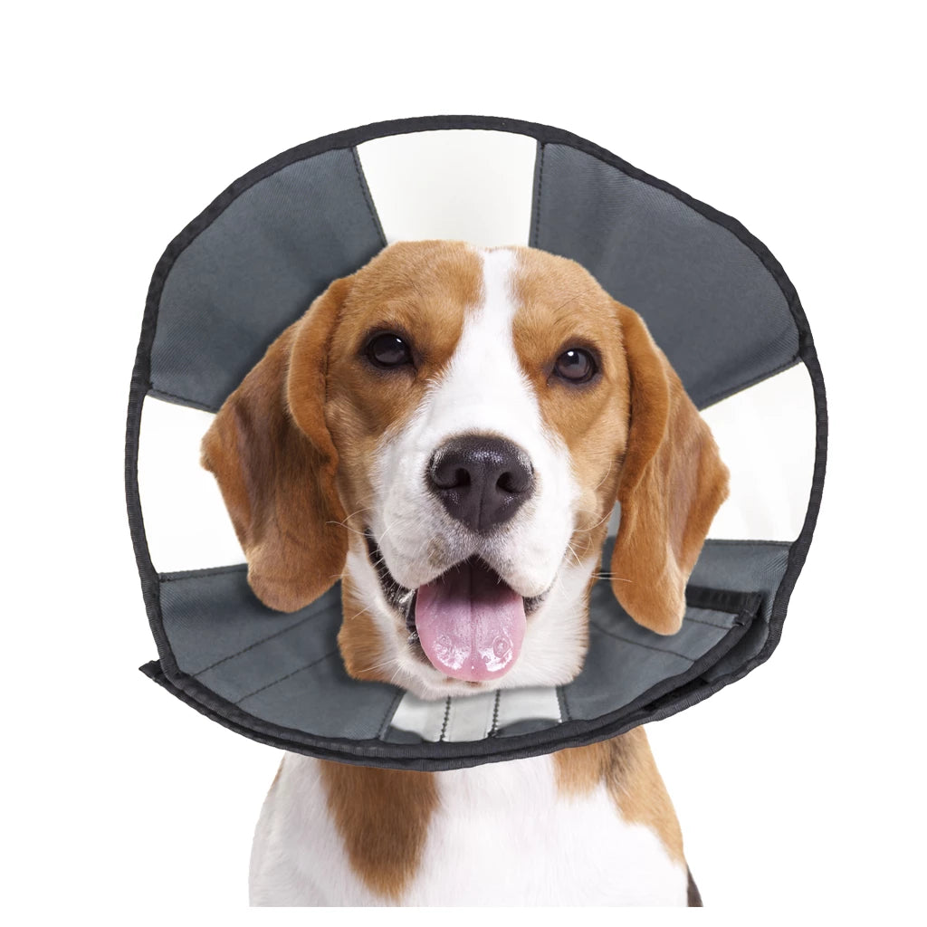 Zenpet Procone M