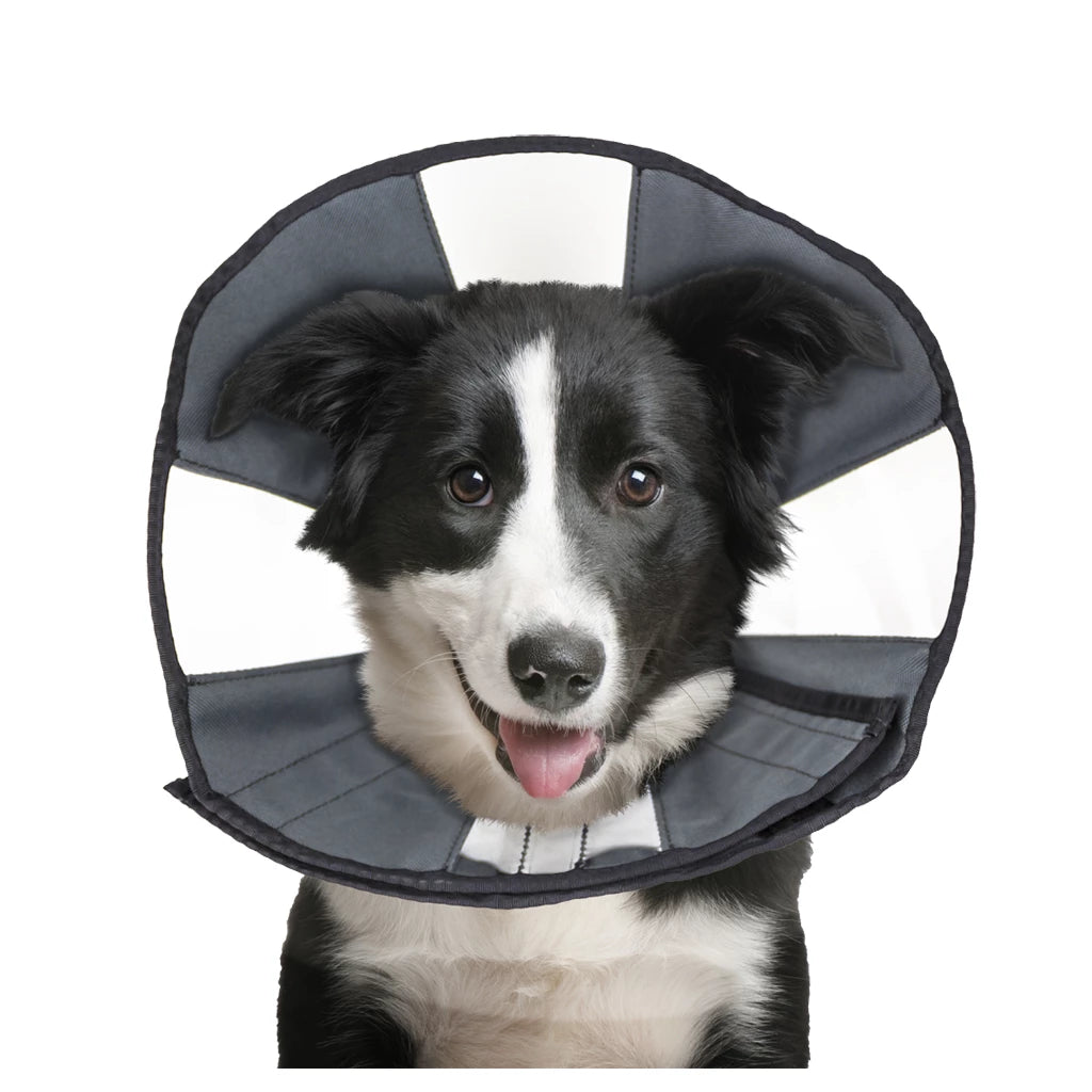 Zenpet Procone L