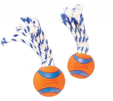 Chuc233101 chuc233201groep