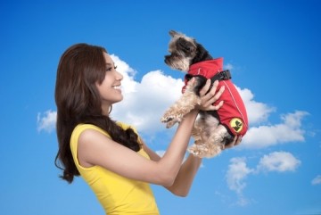 Knoc004104 dog armor knockdown coat l 55cm ruglengte insect shield 6