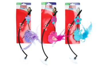 Kongcat45e kong connects window teaser assorted eu