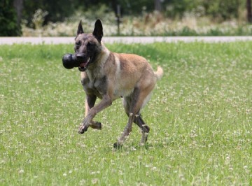 Kongk3e kongk2e kongk1e konguxle kongukke1 0