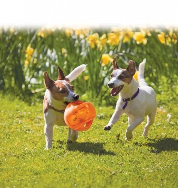 Kongtmb2e kongtmb1e1