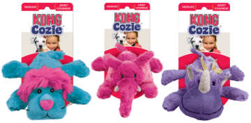 Kongzyb3ekongzyb2egroep