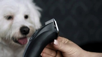 Mose0026c3 moser arco pro accu tondeuse