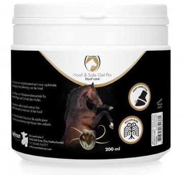 Schermafbeelding 2026 03 31 125922