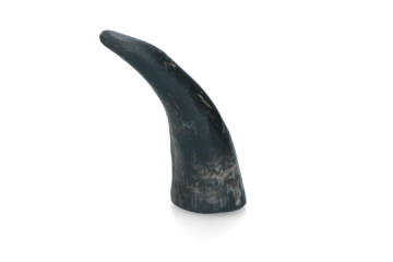 Viki04 viking whole horn l