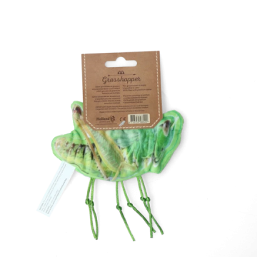 Wild0352 wild life cat sprinkhaan