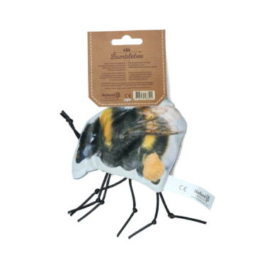 Wild0372 wild life cat hommel